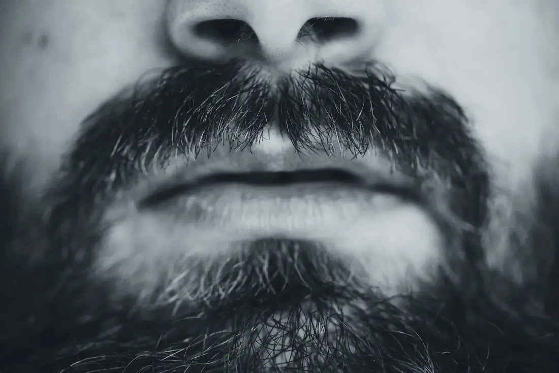 guide entretien barbe